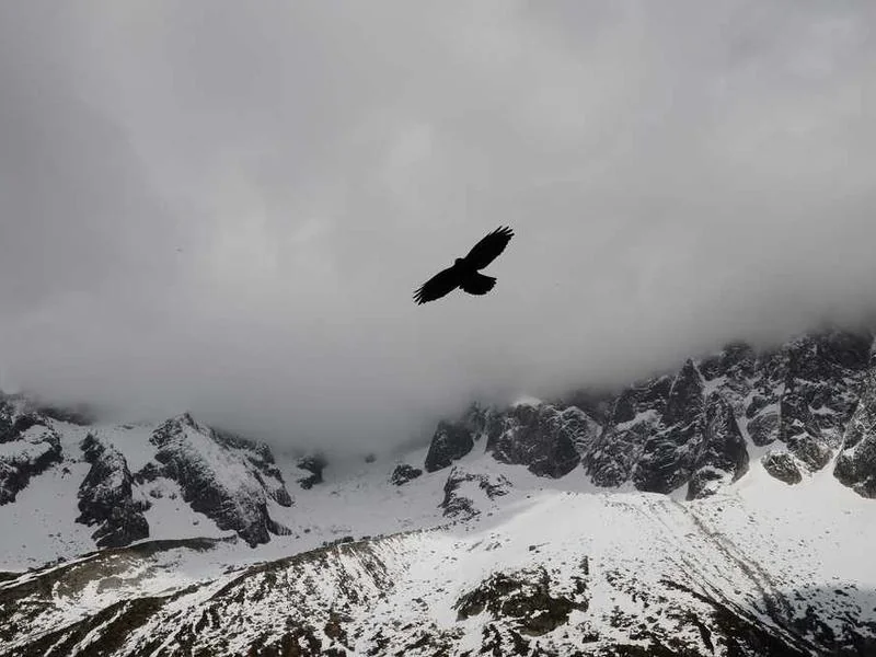 안양싱크대막힘