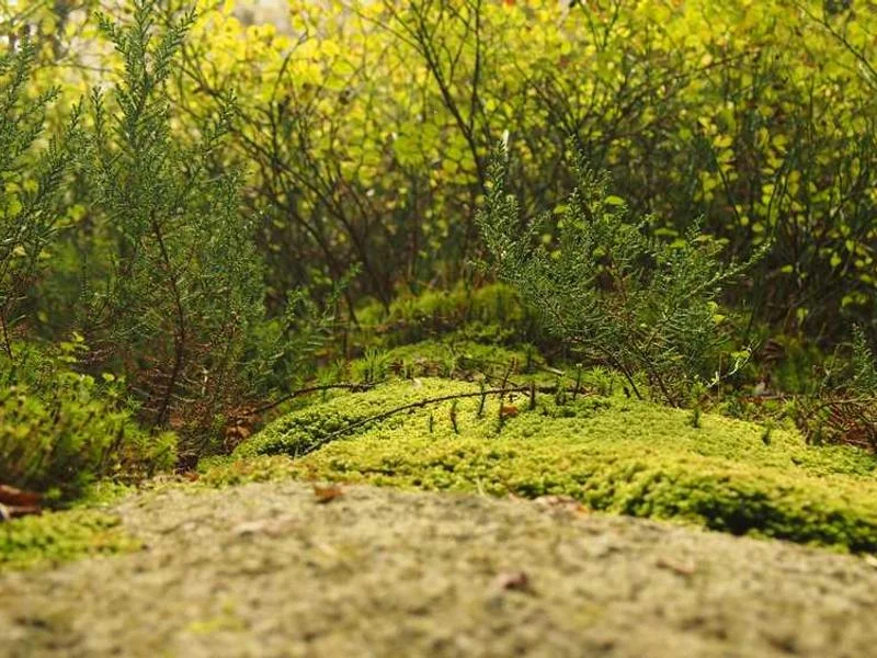 안양오수관막힘