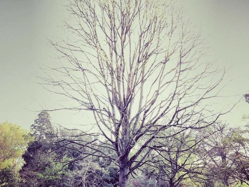 안양하수구긴급출동