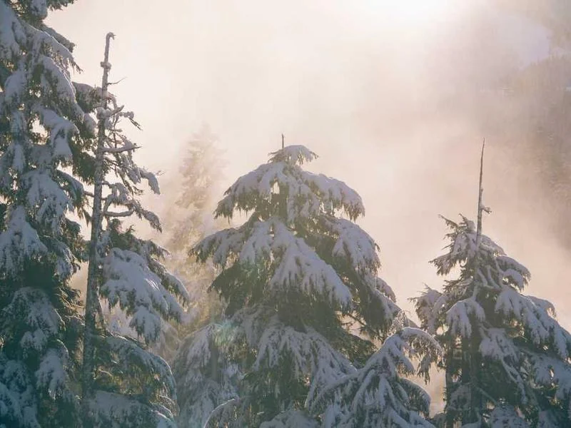안양하수구뚫는업체