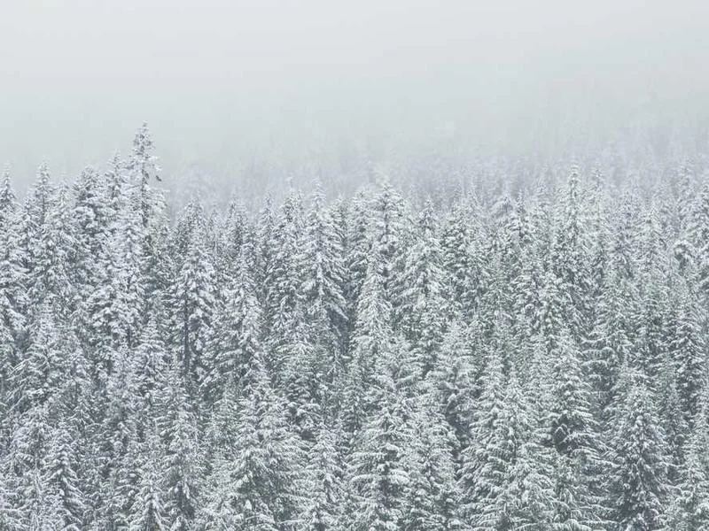 안양하수구뚫는업체