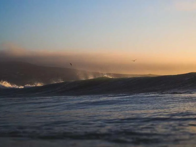 안양하수구뚫는업체