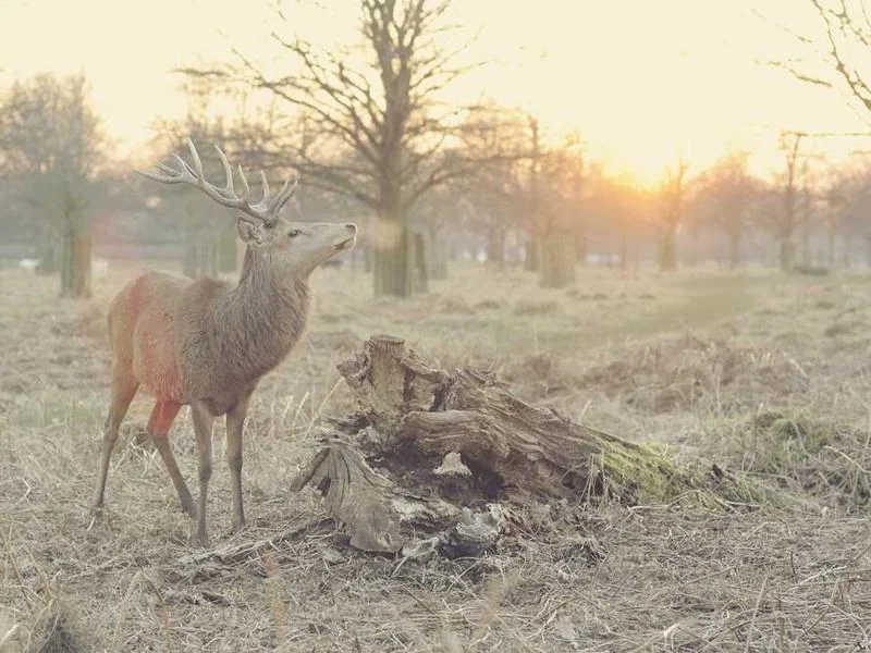 만안구하수구막힘,싱크대막힘,변기막힘