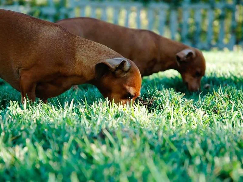 만안구하수구막힘,싱크대막힘,변기막힘