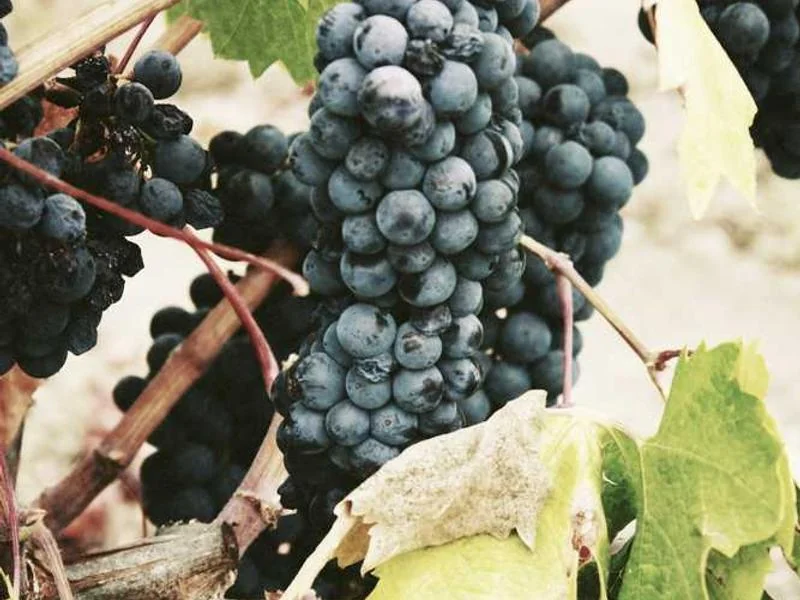 석수동하수구막힘,싱크대막힘,변기막힘