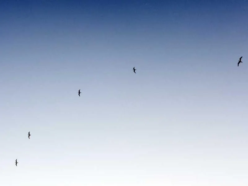 안양동하수구막힘,싱크대막힘,변기막힘