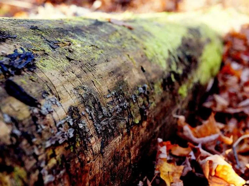 안양동하수구막힘,싱크대막힘,변기막힘