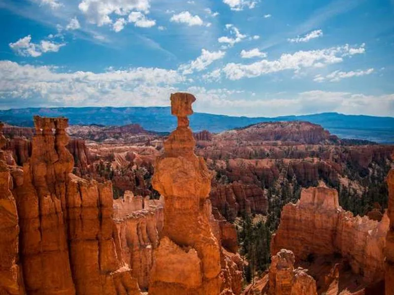 안양만안구하수구막힘,싱크대막힘,변기막힘