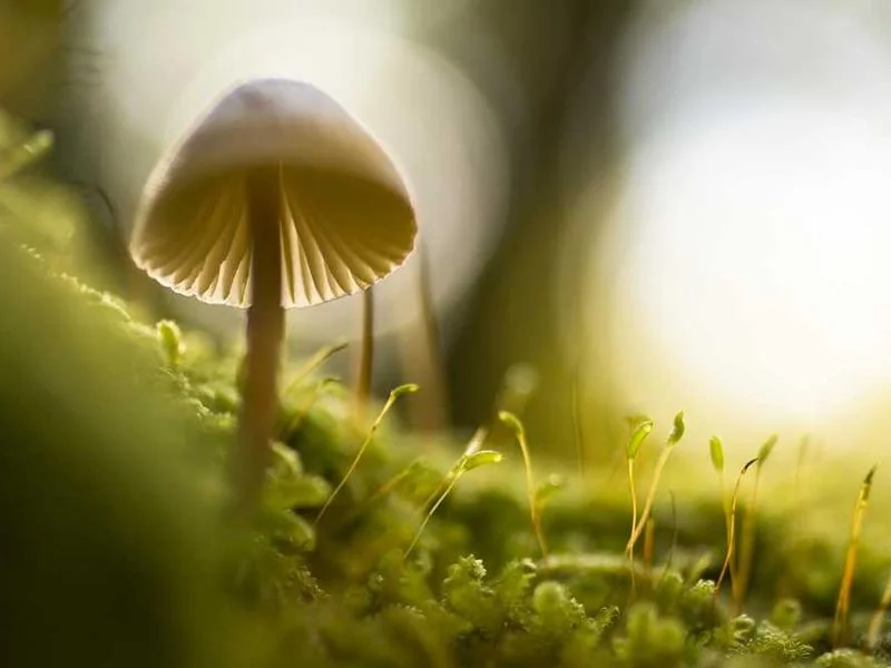 안양비산동하수구막힘,싱크대막힘,변기막힘