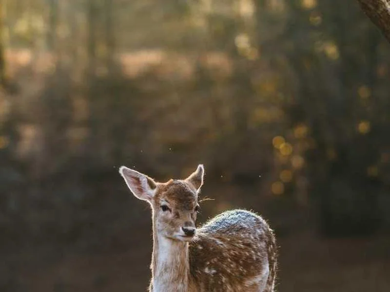 안양석수동하수구막힘,싱크대막힘,변기막힘