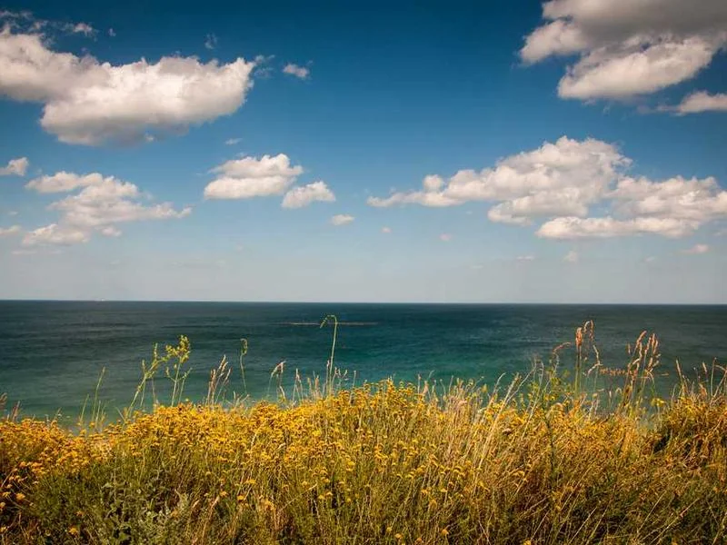 안양호계동하수구막힘,싱크대막힘,변기막힘