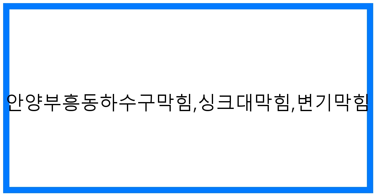 긴급! 안양부흥동 하수구/싱크대/변기 막힘 해결사!